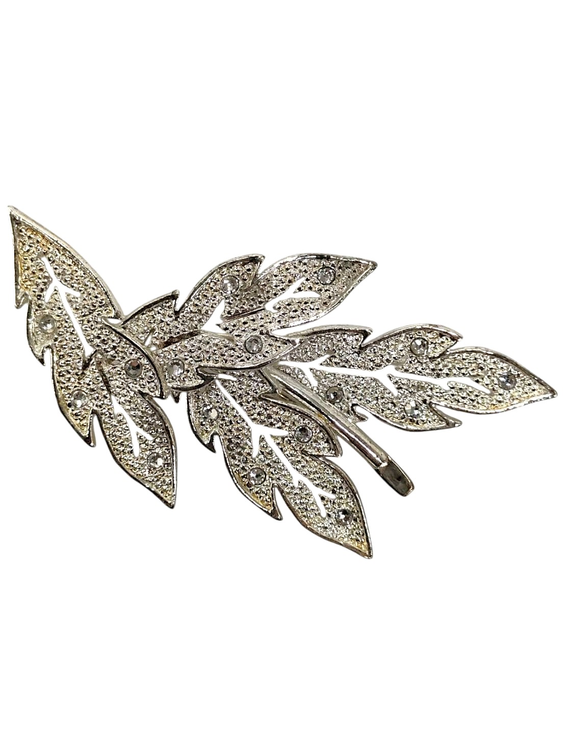 AC9999246　TARO KAMITANI