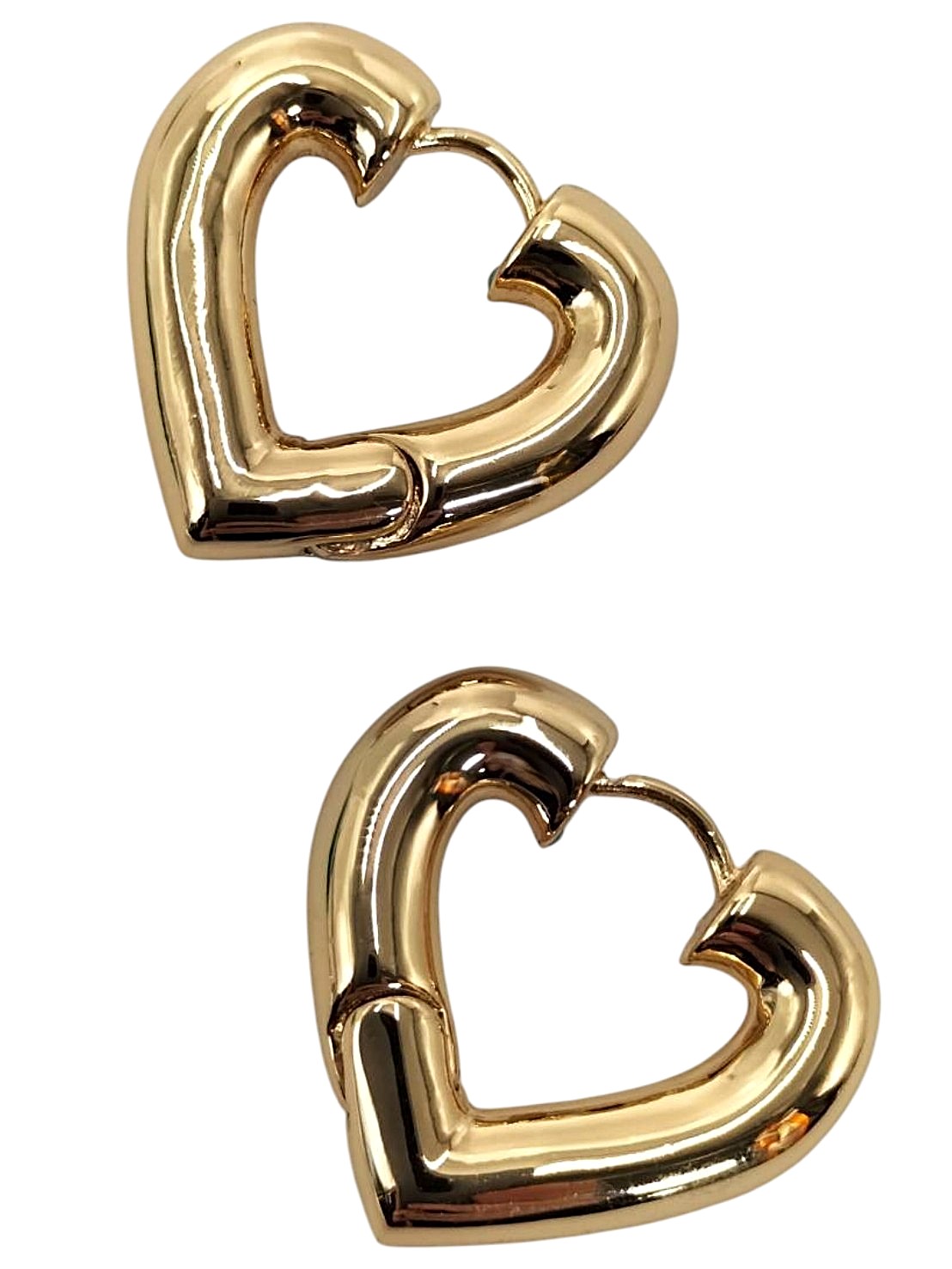 AC9999569　ROXANNE ASSOULIN