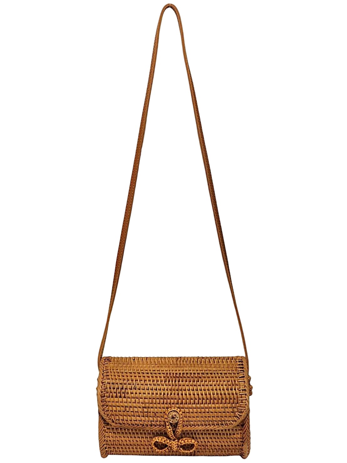 BASH000114 casselini