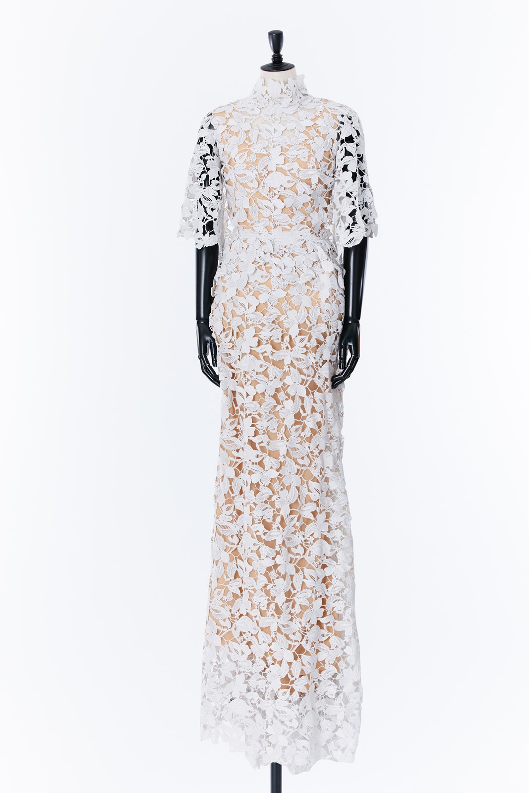 DR556683 Reem Acra