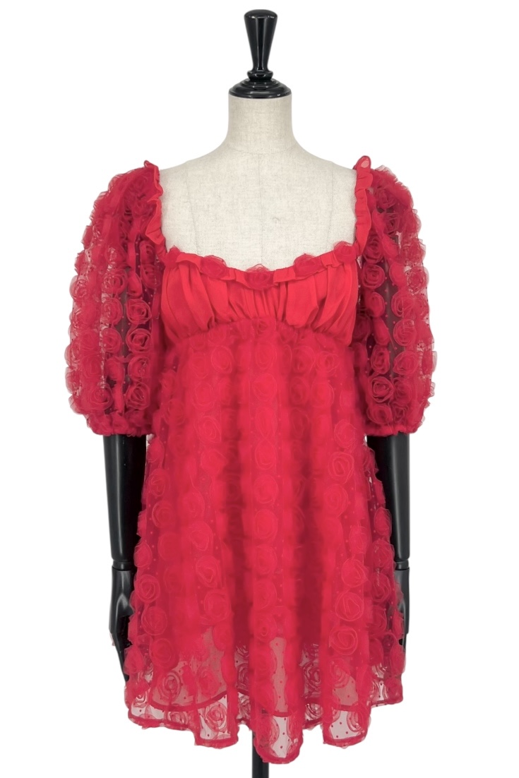 DR559462 ForLove＆Lemons
