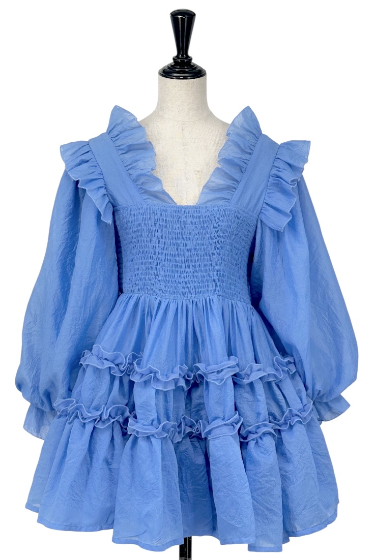 DR559480 DREAM sister jane