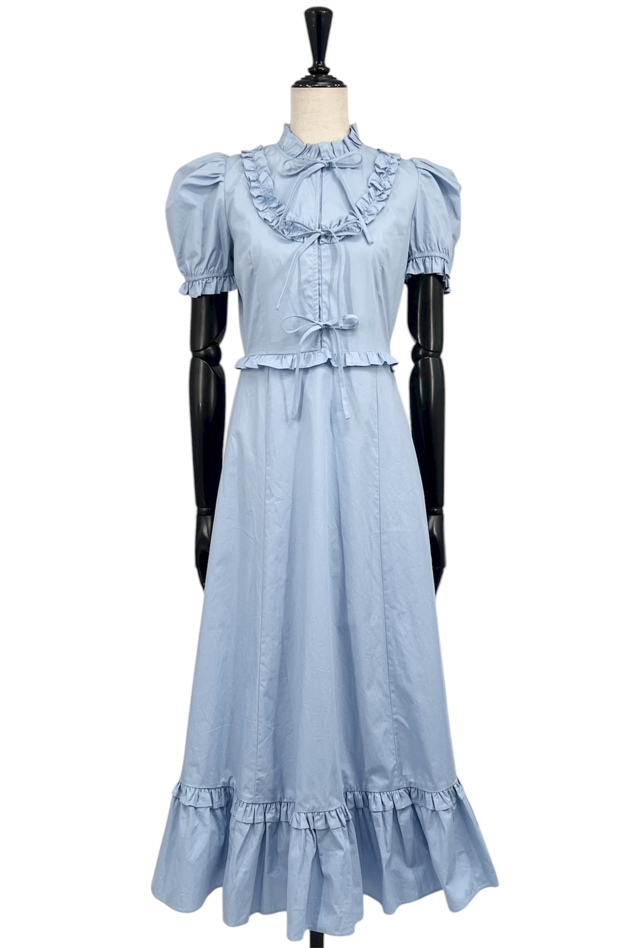 DR559552 sister jane