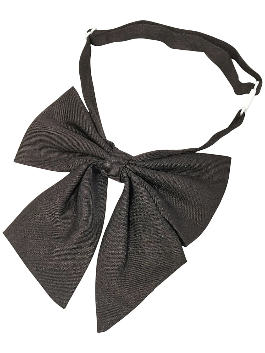 FA556345　school ribbon