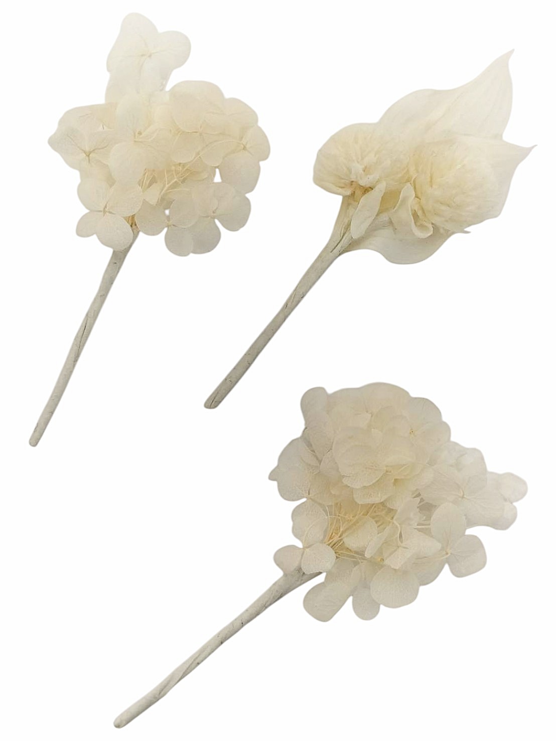 HE1000151　orgablanca