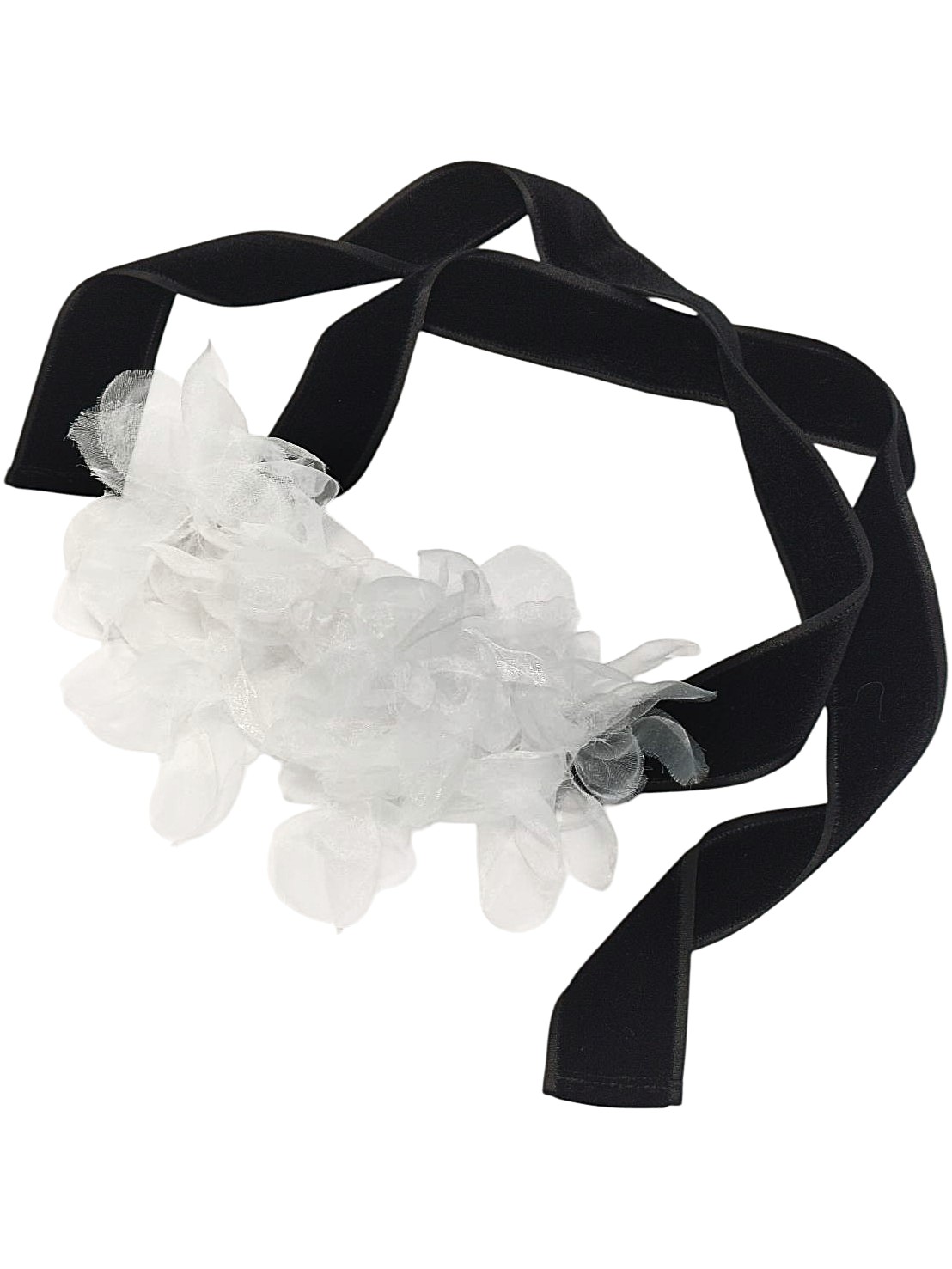 HE1000182　orgablanca