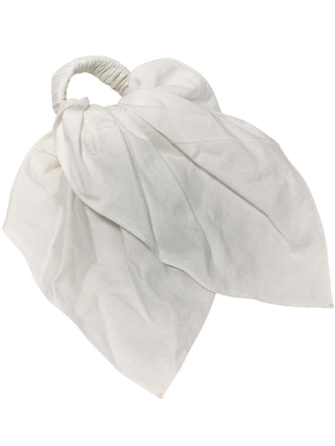 HE1000230 RENATA BRENHA