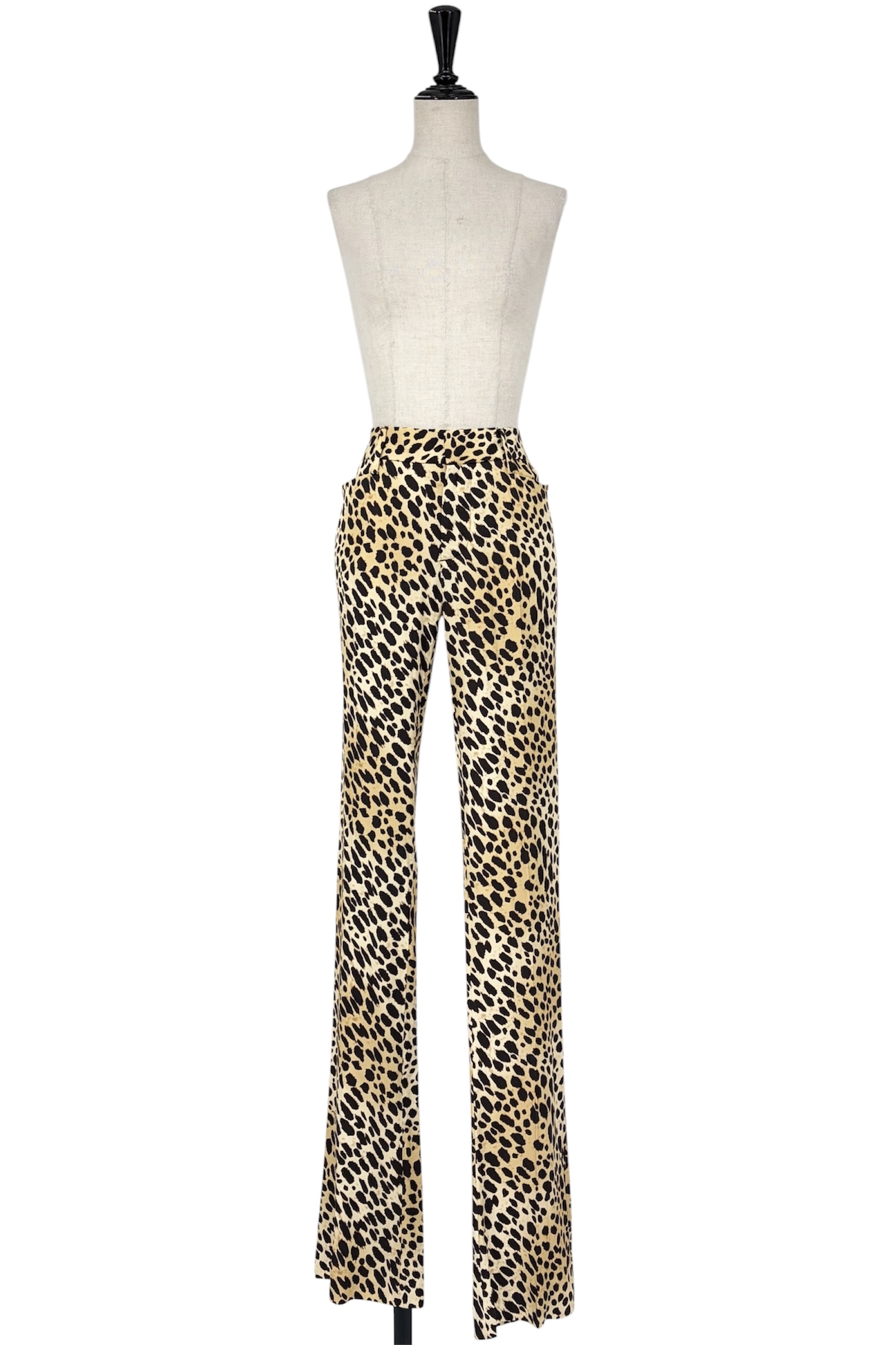 PA556223・DSQUARED2