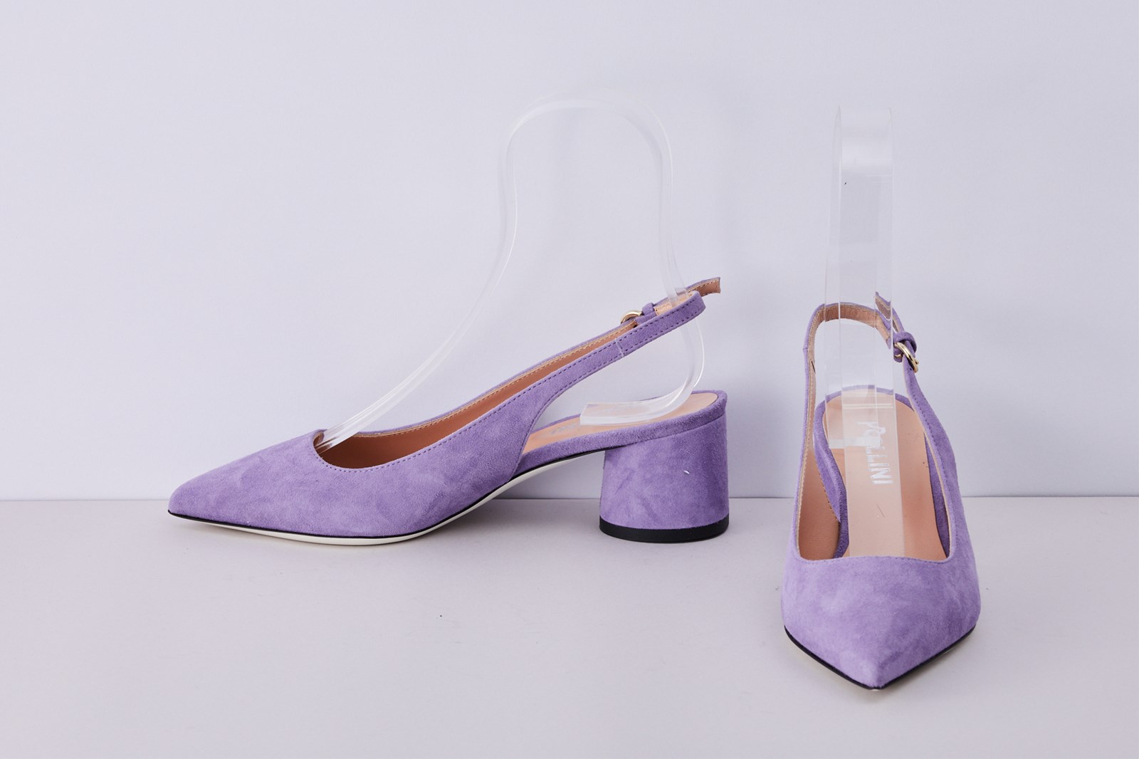 SH556891 POLLINI 36